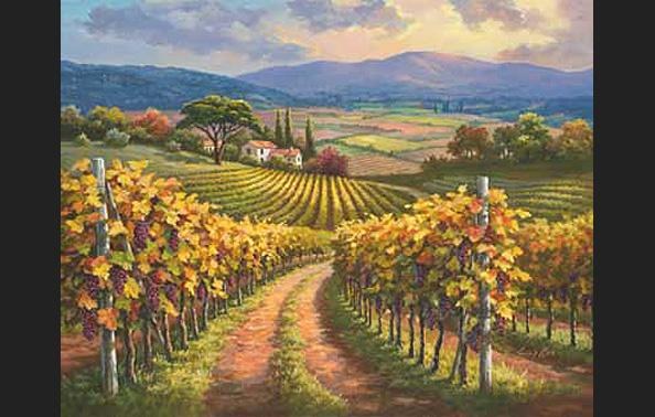Sung Kim Vineyard Hill I